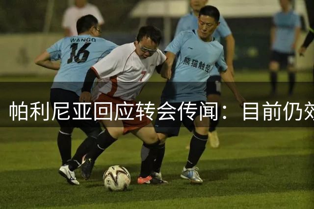 帕利尼亚回应转会传闻：目前仍效力拜仁